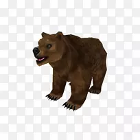 灰熊阿拉斯加半岛棕熊动物毛皮熊