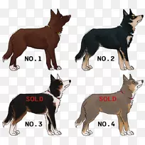 澳大利亚凯尔皮，拉普尼亚牧羊犬，古代犬种-澳大利亚