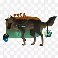 犬科马犬动物鼻子-马