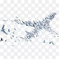喙鸟迁徙鸟群线艺术鸟