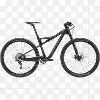 坎农代尔自行车公司越野自行车山地车架-自行车