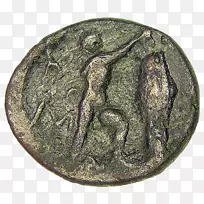 铜币动物树-硬币
