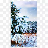 台式壁纸手机电话雪墙纸雪地壁纸