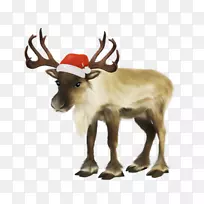 圣诞老人驯鹿圣诞剪贴画-圣诞老人