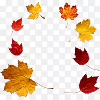 秋季电脑图标剪贴画-叶子兴趣