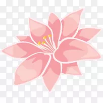 花卉设计切花