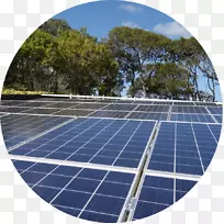 加勒比太阳能-拉丁美洲能源太阳能电池板-植物圈