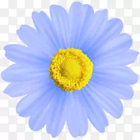 菊花剪贴画-蓝花透明