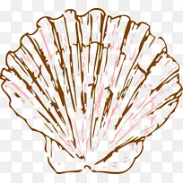 海鸥科画软体动物壳夹艺术.海贝壳