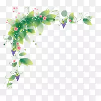 花边和框花剪贴画.花