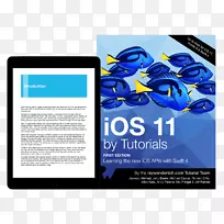 快速教程IOS 11软件设计-快速iOS