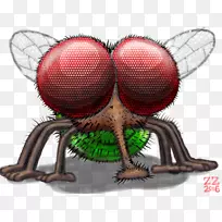 蝇蜘蛛昆虫画