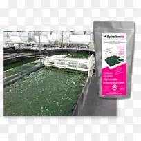 水资源螺旋藻市场-影印机