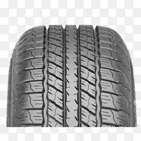 胎面固特异轮胎和橡胶公司运动型多功能车一级方程式轮胎-固特异
