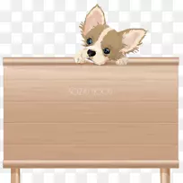犬种犬骑士国王查尔斯·斯帕尼尔马耳他犬小狗