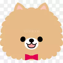 小狗嘴须.小狗