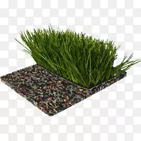 人造草坪地板草坪花园运动-足球草