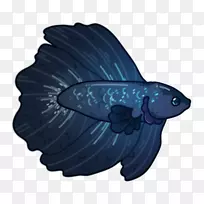 钴蓝鱼-暹罗斗鱼