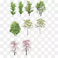 园林建筑制图植物