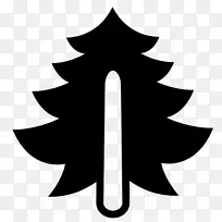 松林标志-雪松树