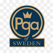 PGA巡演瑞典职业高尔夫球手协会LPGA-高尔夫