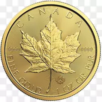 加拿大金枫叶金币美元硬币-加拿大