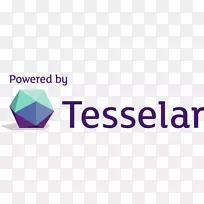 Tesselar企业徽标客户组织-业务