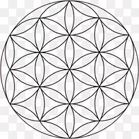 重叠圆网格神圣几何学维特鲁维人圆