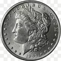 卡森市铸币，摩根美元，美元