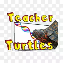 标志项目教师品牌-海龟材料
