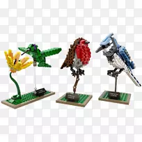 乐高鸟：Les Briques s‘envolent Lego Ideas Amazon.com蜂鸟鸟