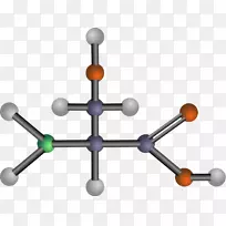 氨基酸异亮氨酸蛋氨酸分子载体