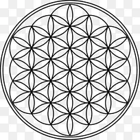 重叠圆圈，网格，神圣几何学，曼陀罗，梅塔龙-葡萄牙符号