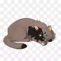 胡须小猫动物尾巴伤心猫