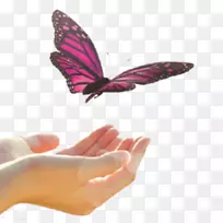 毛茸茸的蝴蝶指甲洋红色蝴蝶
