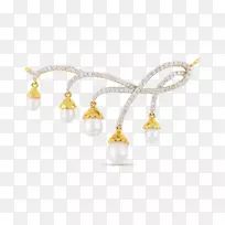 珍珠耳环项链、珠宝魅力和吊坠-项链
