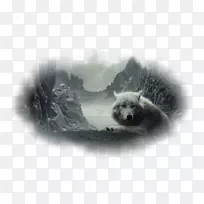 桌面壁纸狼壁纸高清电视1080 p高清视频.Kurt resmi