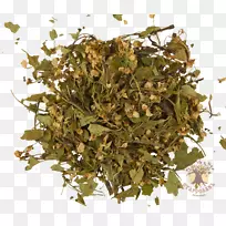 马沙拉茶草本植物乌龙茶ōJicha-茶
