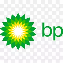 Aker BP石油BP Tankstelle Jan Pichler皇家荷兰壳牌-英国