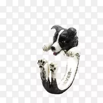 犬种边境牧羊犬，粗野牧羊犬，伯恩塞山犬，小狗-小狗