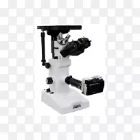 光学显微镜倒置显微镜光学仪器显微镜