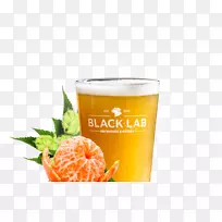 啤酒黑实验室酿酒厂和厨房橙汁饮料金发啤酒食品-啤酒