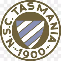 sc塔斯马尼亚1900年柏林SV塔斯马尼亚柏林1965年-66德甲足球组织-足球