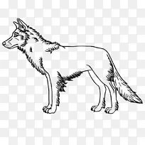 胡须猫犬繁殖红狐猫