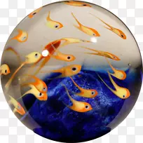 镇静剂鱼球玻璃海洋生物-鱼