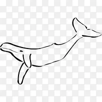 座头鲸黑白剪贴画-鲨鱼尾巴