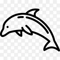 电脑图标海豚符号海豚