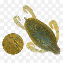 海龟真蛙鱼饵&绿海龟的诱饵