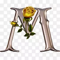 字母表字母m v w-花