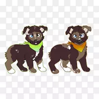 犬种小狗猫毛-小狗